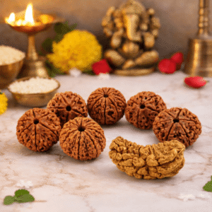 Authentic Rudraksha Beads